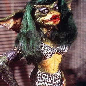 Meet your Posher, Lizbeth